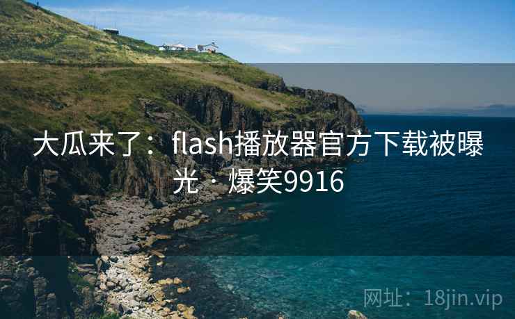 大瓜来了：flash播放器官方下载被曝光 · 爆笑9916